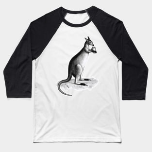 Kangaroo lowland king Baseball T-Shirt